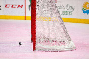 Charlotte Checkers Pink in the Rink