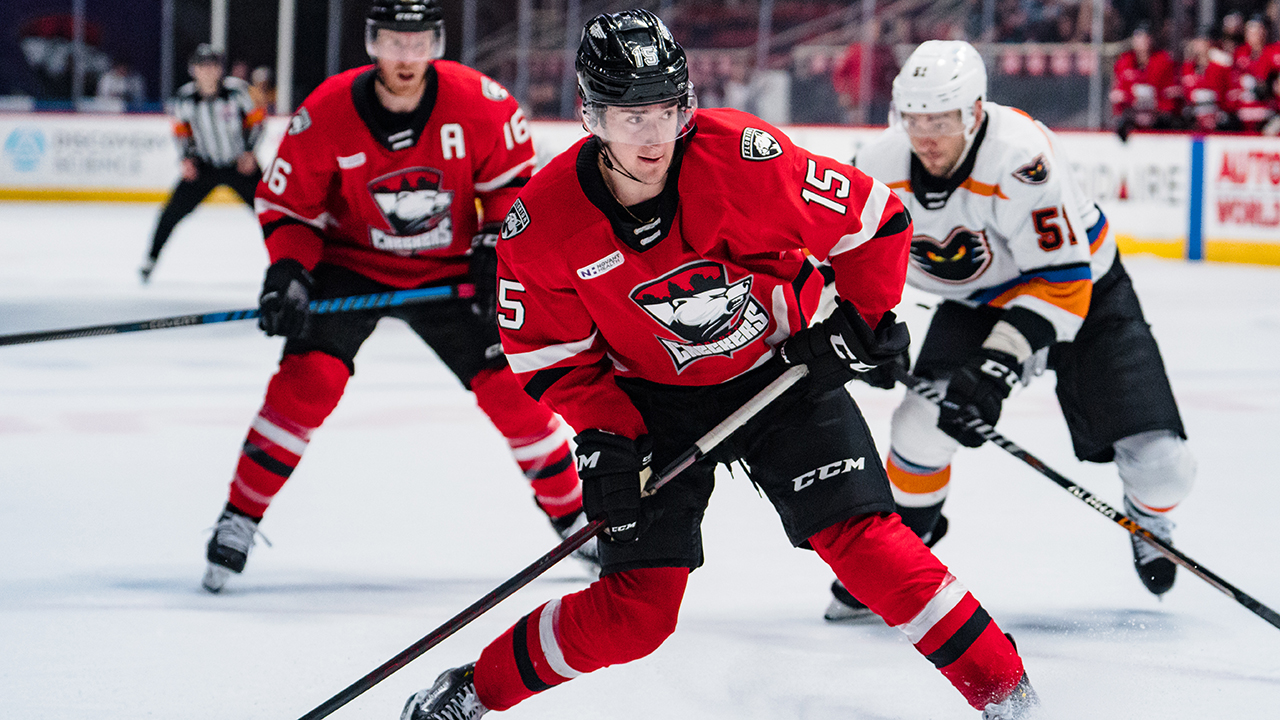 Charlotte Checkers – Up to 71% Off Two Tickets - Charlotte