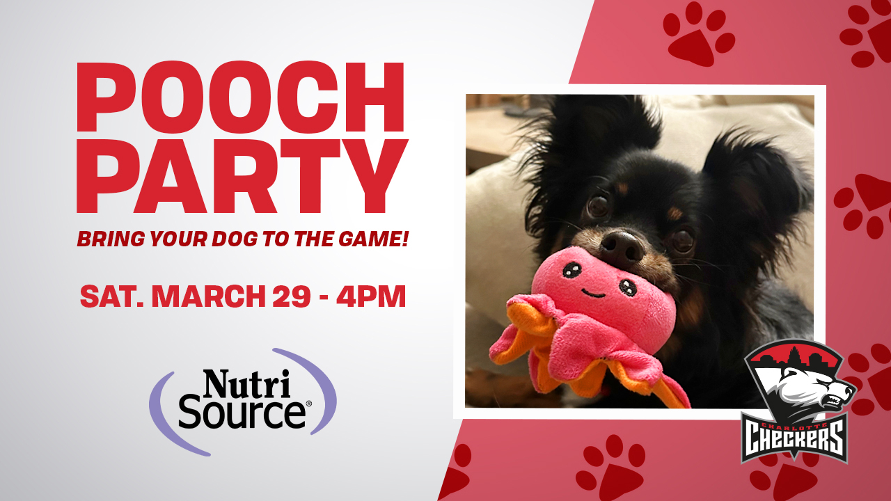 Pooch Party