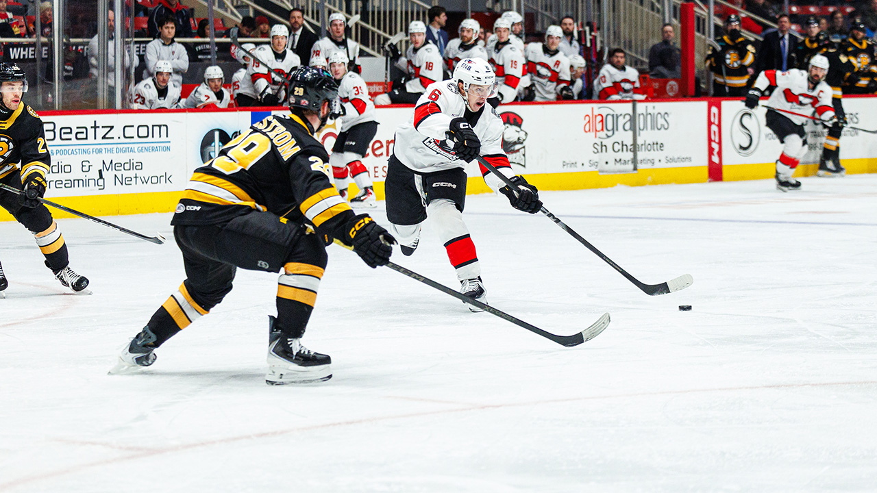 The Official Site of the Charlotte Checkers - Charlotte Checkers Hockey -  charlottecheckers.com