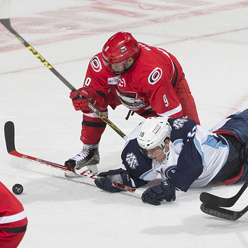 Charlotte Checkers Milwaukee Admirals