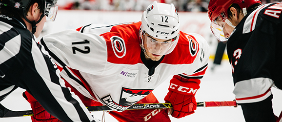 Hurricanes Recall Brody Sutter Charlotte Checkers Hockey