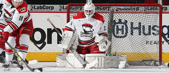 All Star Dogs: Charlotte Checkers Pet Products