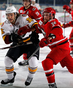 Charlotte Checkers at Chicago Wolves