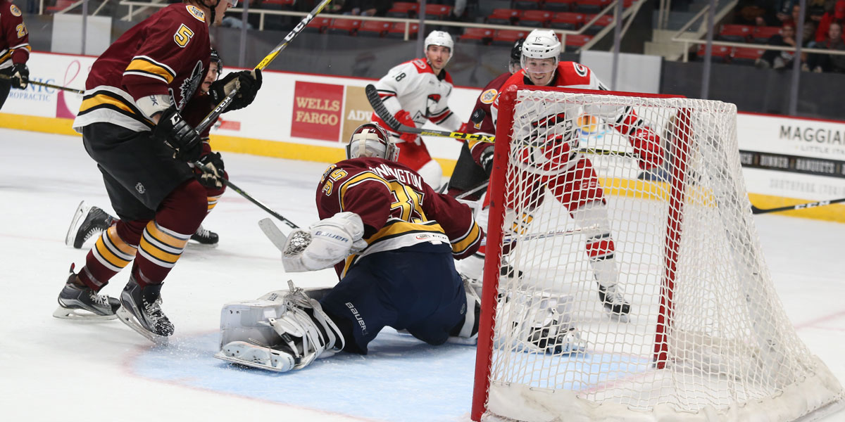 Charlotte Checkers vs. Chicago Wolves