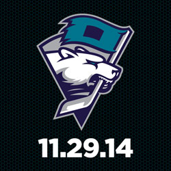 Charlotte Checkers Hornets Night