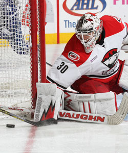 Charlotte Checkers Toronto Marlies