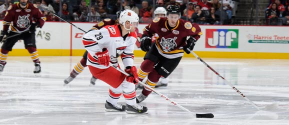 Charlotte Checkers vs. Chicago Wolves