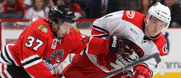 Charlotte Checkers Rockford IceHogs