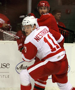 Charlotte Checkers at Grand Rapids Griffins