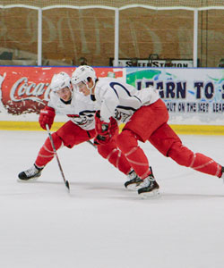 Charlotte Checkers 2013-14 Season Preview