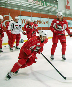 Charlotte Checkers 2013-14 Season Preview