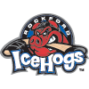 Rockford IceHogs