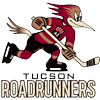 Tucson Roadrunners