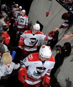 Charlotte Checkers