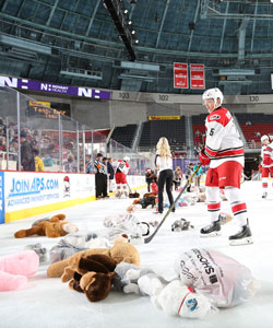 Charlotte Checkers Teddy Bear Toss