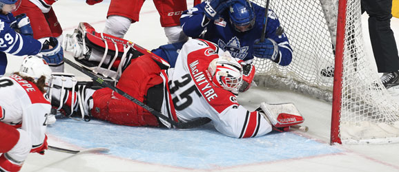 Charlotte Checkers Toronto Marlies