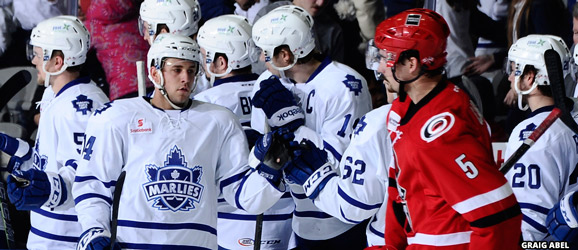 Charlotte Checkers at Toronto Marlies